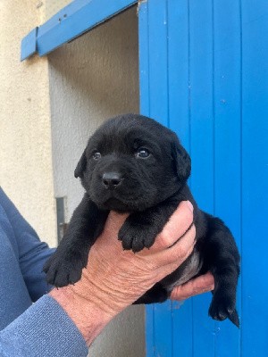 Un éclair d zeus