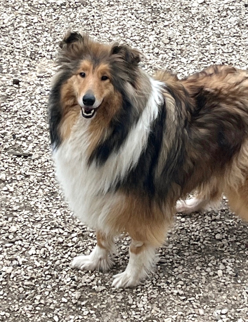 Tenerife De Pepsie Pep's