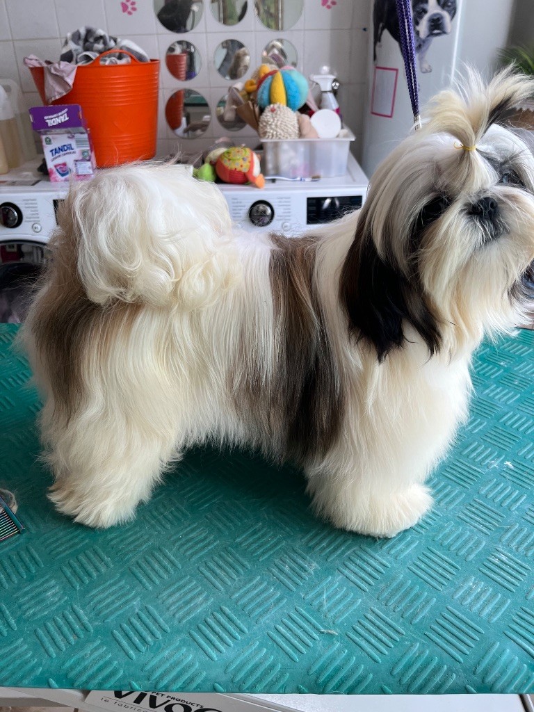 Valinka De Pepsie Pep's